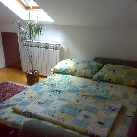 Apartmán Near Downtown But In A Quiet Area *